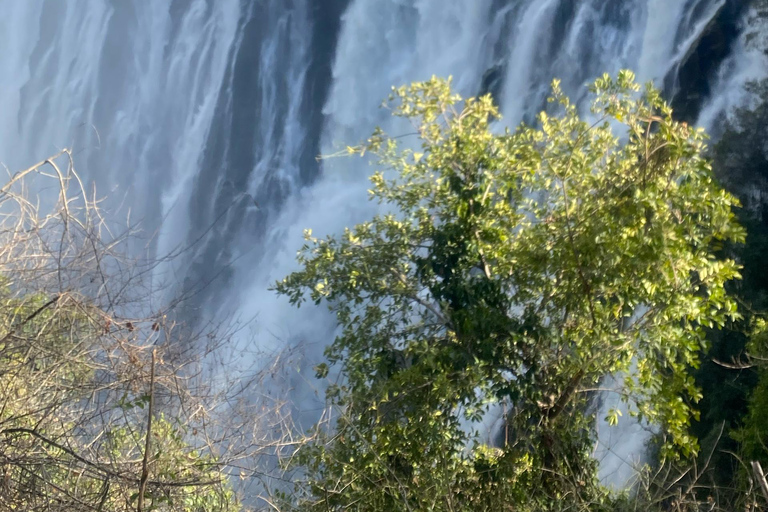Victoria Falls:old age private guided tour