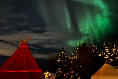 Tromsø : Excursion à la poursuite des aurores boréales avec collations et boissons