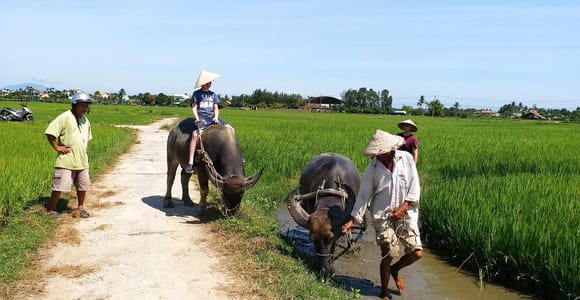 Hoi An:Cycling,Traditional Farming & Fishing Life Experience
