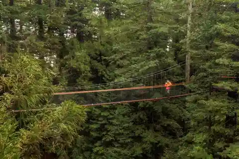 Auckland: Excursão de um dia a Rotorua com Redwoods Treewalk & Spa