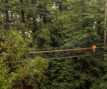 Auckland : Excursion d'une journée à Rotorua avec Redwoods Treewalk & Spa