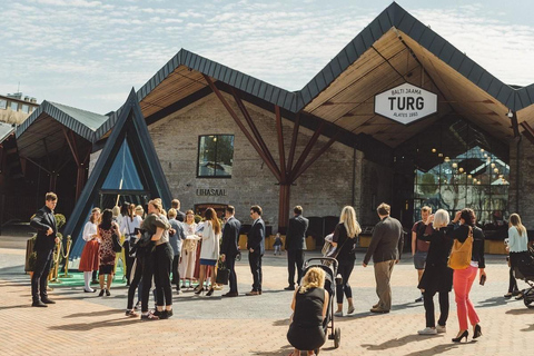 From Tallinn: Private tour around Tallinn city with minivan