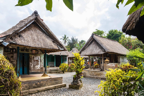 Bali: Ubud (Temple, Spring, Rice Terraces, & Waterfall) Private (Basic Package)