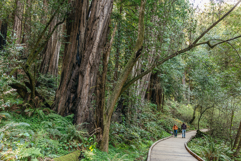 Z San Francisco: Muir Woods National Monument - wycieczka z przewodnikiemMuir Woods National Monument: wycieczka z opłatą za wstęp