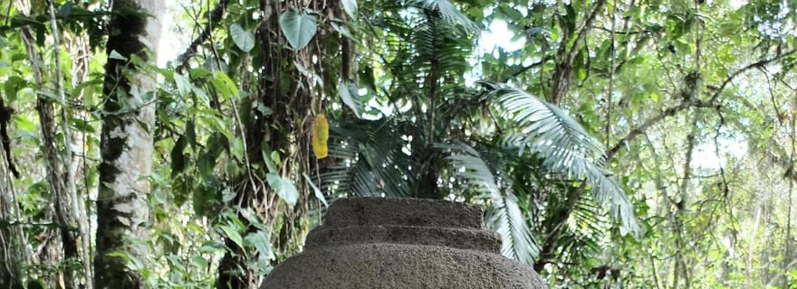 Excursion archéologique de Tierradentro et San Agustín en 3 jours