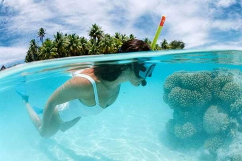 Inolvidable aventura de snorkel en la Isla Catalina