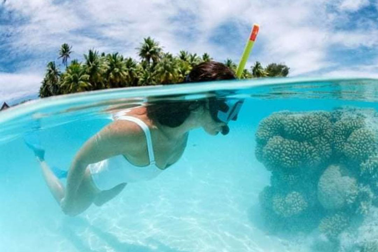 Un&#039;indimenticabile avventura di snorkeling sull&#039;isola di Catalina