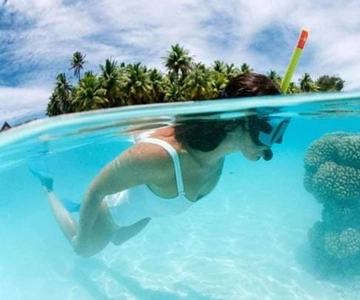 Ilha Catalina: Viagem de 1 dia - O melhor mergulho com snorkel!