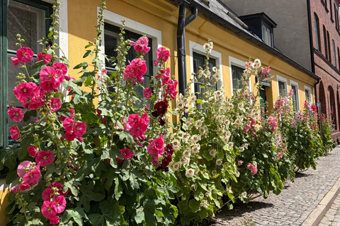 Lund: Private Guided Walking Tour with Local Guide
