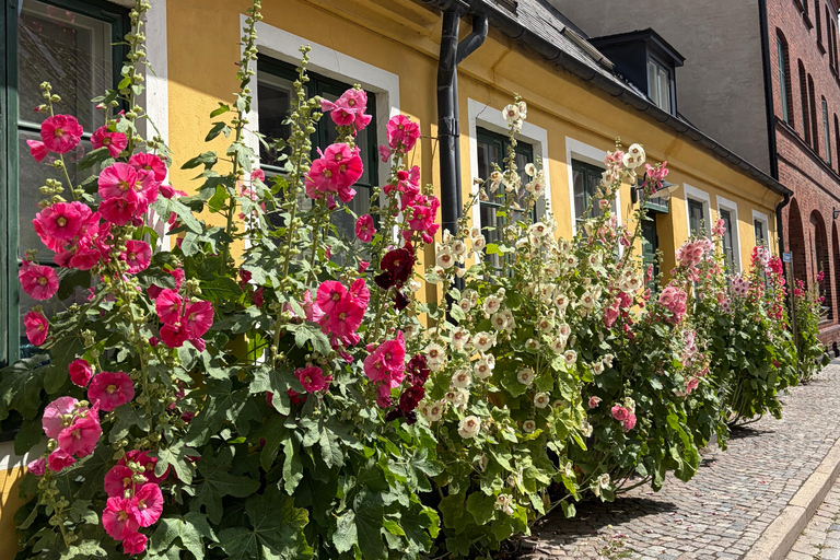 Lund: Private Guided Walking Tour with Local Guide
