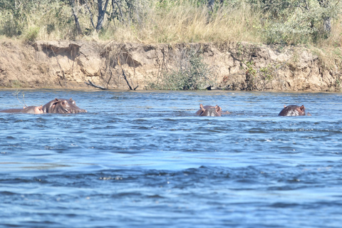 Livingstone: Zambezi Drift + Lunch + Baobab + Croc Farm