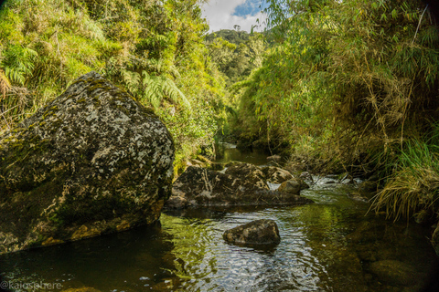 Von Bogota aus: Kolumbiens Andenhochland erkunden