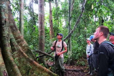 Puerto Maldonado: Collpa Chuncho 2-Day Jungle Tour