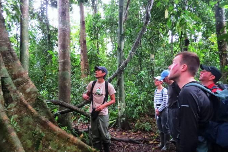 Puerto Maldonado: Collpa Chuncho 2-Day Jungle Tour