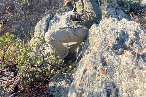 25 Min. from Oaxaca: A Scenic Hike Above the Central Valleys