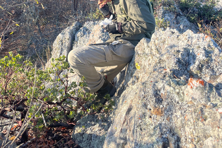 25 Min. from Oaxaca: A Scenic Hike Above the Central Valleys