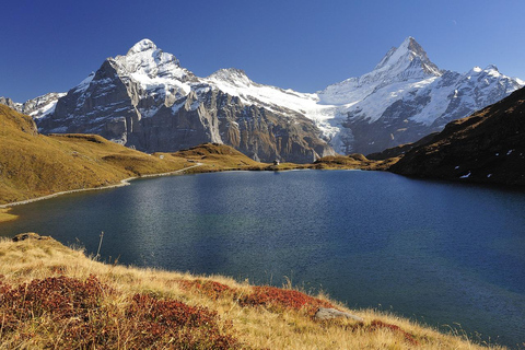 Jednodniowa wycieczka z Lucerny do Interlaken i Grindelwald