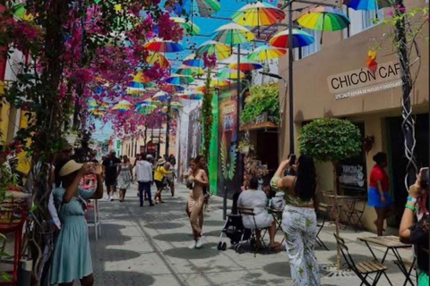 Puerto Plata: City and Countryside Tour with Tastings