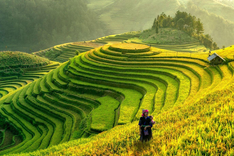 Mu Cang Chai 2 Days Tour Trekking Terraced Rice Field