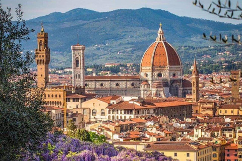 From Rome to Florence and Pisa: Accademia and Santa Croce small group Pisa and Florence PRIVATE with access to the Tower of Pisa