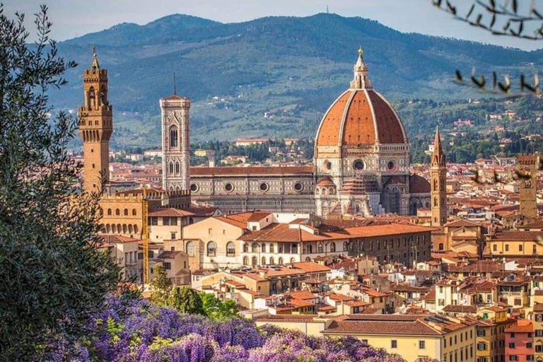 From Rome to Florence and Pisa: Accademia and Santa Croce small group Pisa and Florence PRIVATE with access to the Tower of Pisa