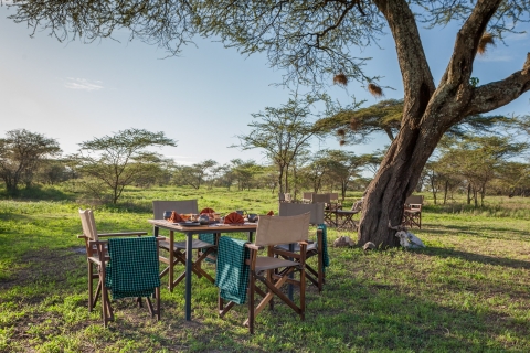 Beste zweitägige Safari von Sansibar aus, um die Big 5 des Ngorongoro zu sehen
