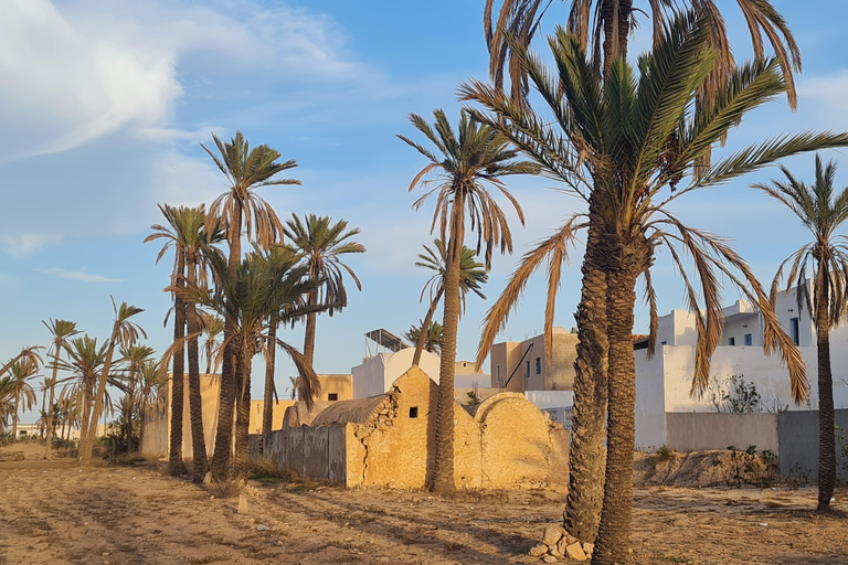 正宗杰尔巴：日落马车之旅和东方小吃正宗杰尔巴岛：日落马车之旅和免费东方小吃