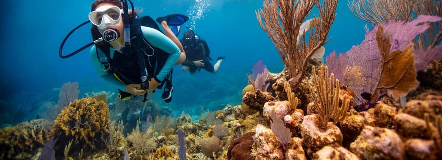 Flamingo & Tamarindo : Deux plongées aux îles Las Catalinas