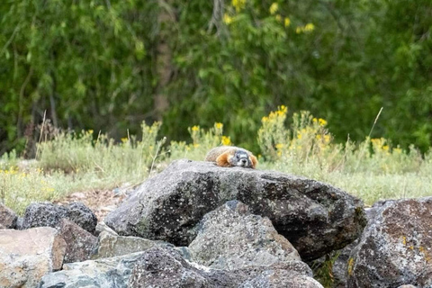 Jackson Hole: Snake River Scenic Float Tour with Chairs