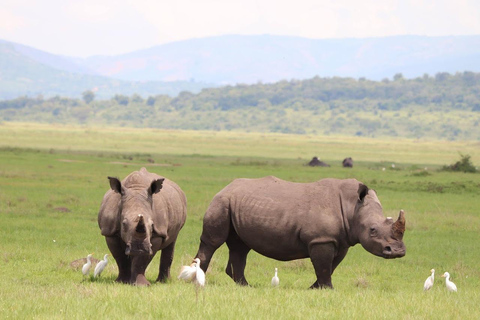 3 Day Safari in Akagera National Park