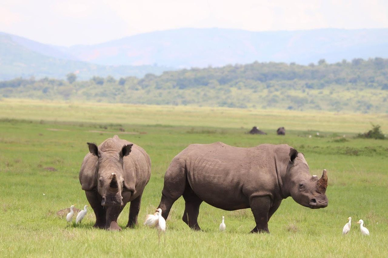 3 Day Safari in Akagera National Park