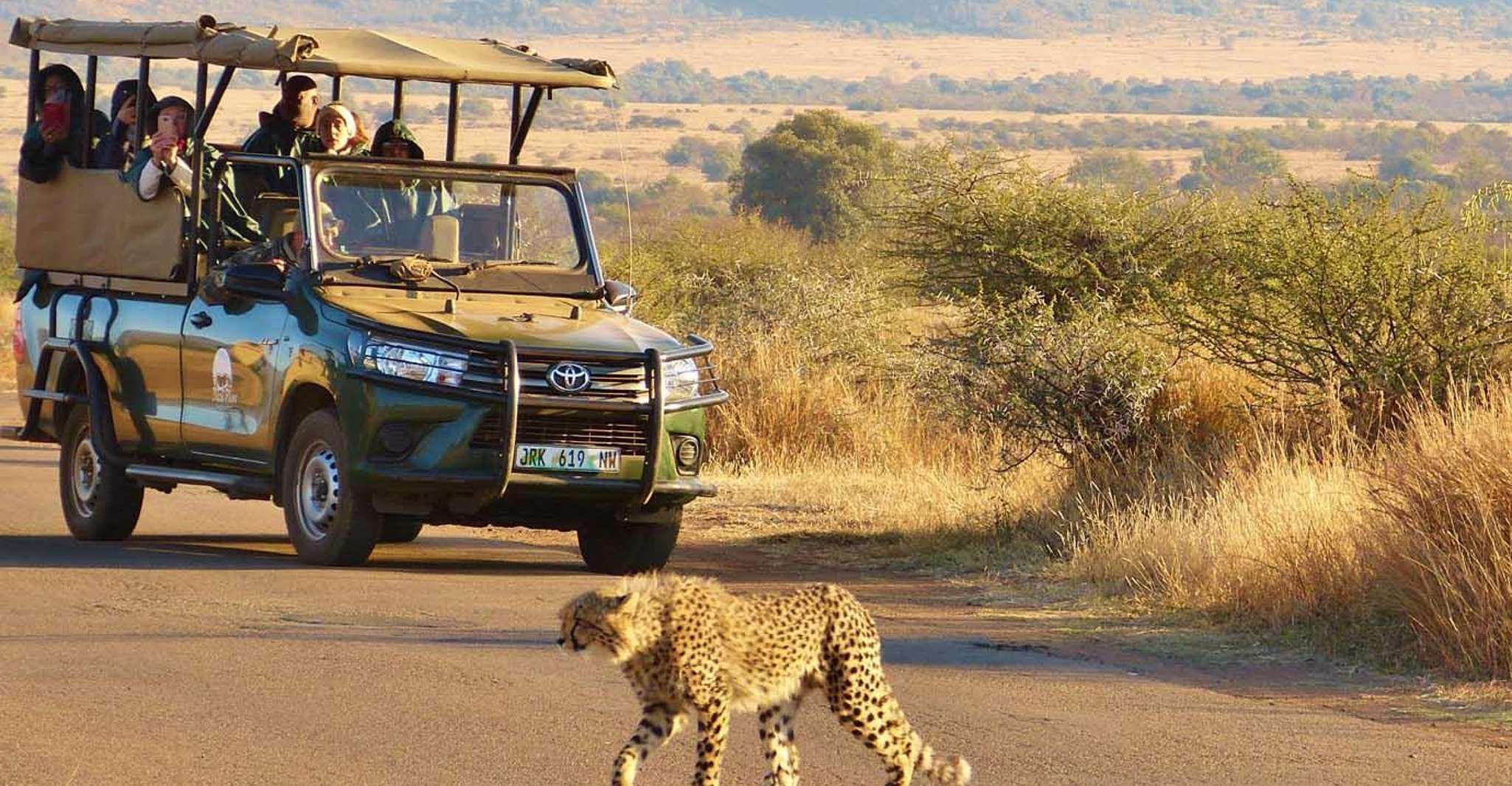 Kruger Park 共享全日旅行车道,来自Hazyview - Hizvo