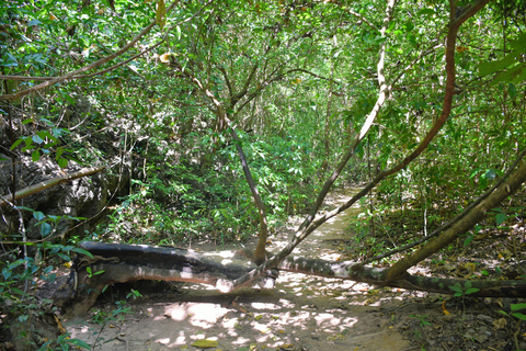 Krabi : Odyssée des îles Hong et Paradis en bateau rapideVisite touristique avec kayak