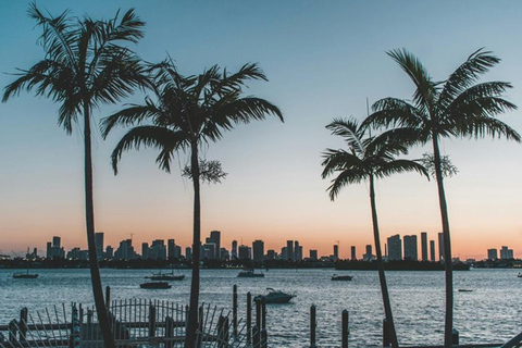 Miami to Everglades Small Group Max 12 Half-Day Tour Half-Day Tour