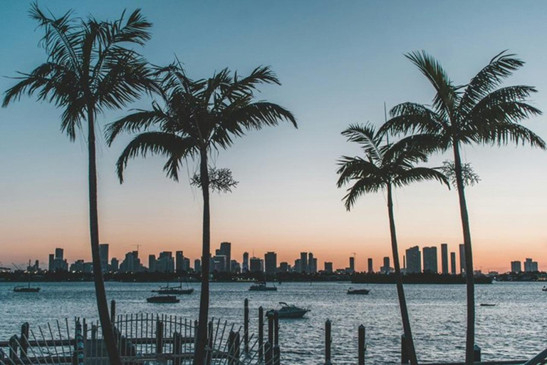 Miami to Everglades Small Group Max 12 Half-Day Tour Half-Day Tour