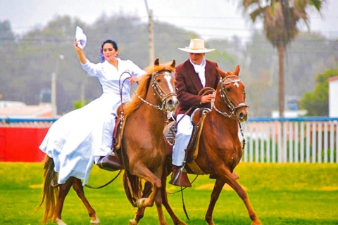 Au départ de Trujillo : journée complète avec chevaux de paso et spectacle de marins