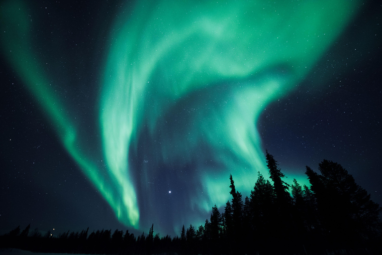 Levi: Virtual Reality Aurora Experience with Shuttle Bus