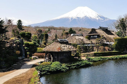 From Tokyo: Private Mount Fuji Day Trip with Driver