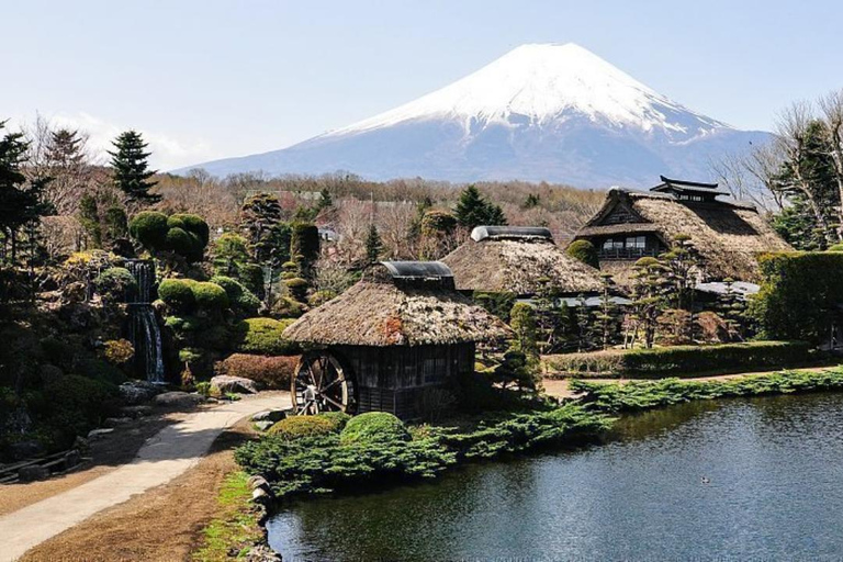 From Tokyo: Private Mount Fuji Day Trip with Driver