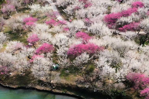 Hanzghou H-quality daytour: Xixi Wetland & Longjing Village