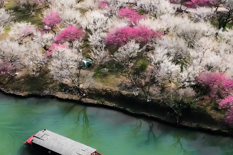 Hanzghou H-quality daytour: Xixi Wetland & Longjing Village