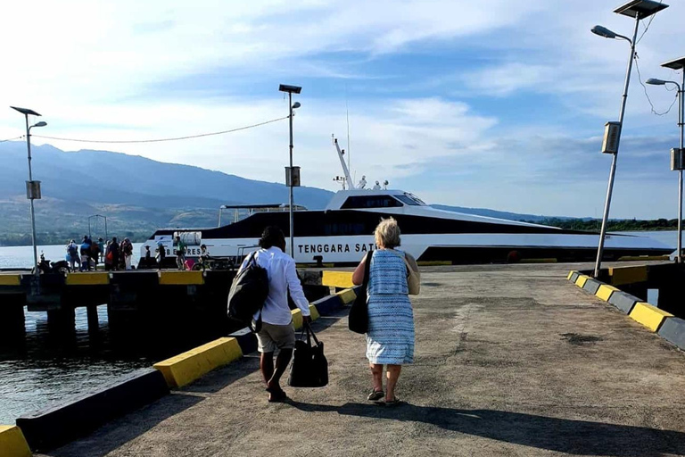 Prywatny transfer z lotniska Lombok na wyspę GIli