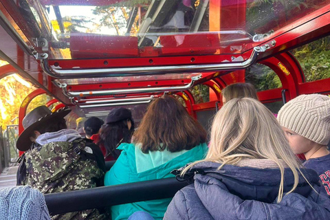 Blue Mountains Tour, Katoomba Falls & Cockatoos Small Group Blue Mountains ：Small Group + Cockatoos & Katoomba Falls&Ja