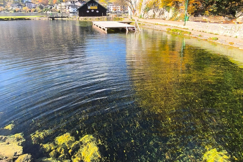 从布拉迪斯拉发到奥地利阿尔卑斯山：哈尔施塔特和萨尔茨堡