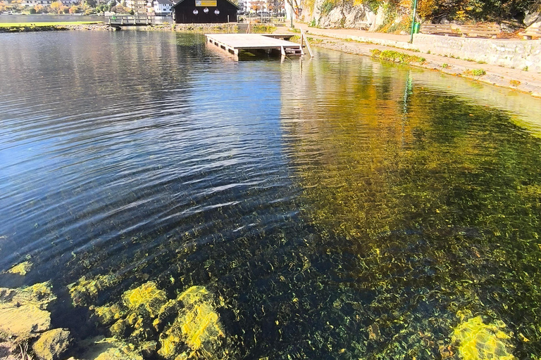 从布拉迪斯拉发到奥地利阿尔卑斯山：哈尔施塔特和萨尔茨堡