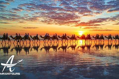 Paseo en camello al atardecer en la playa con cena incluida