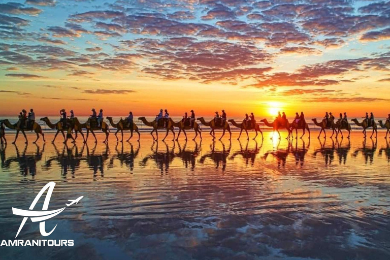 Paseo en camello al atardecer en la playa con cena incluida