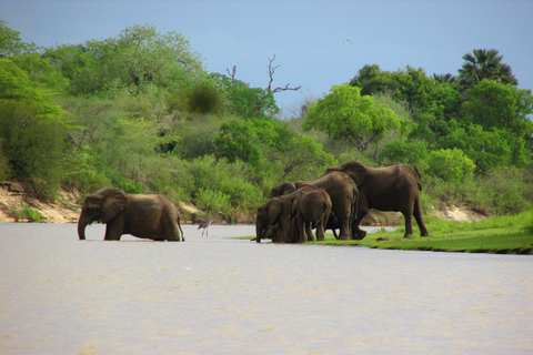 3 DAGEN SAFARI NAAR SELOUS wildreservaat (Flying Safari)DRIE DAGEN SAFARI NAAR SELOUS wildreservaat (Flying Safari)