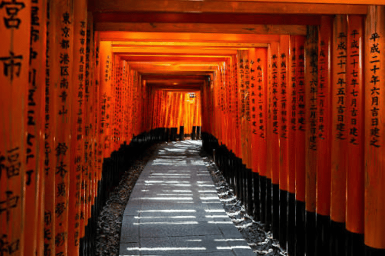 From Osaka: Osaka Private Customized Tour With English Guide Osaka : Osaka Private Tour With English Driver