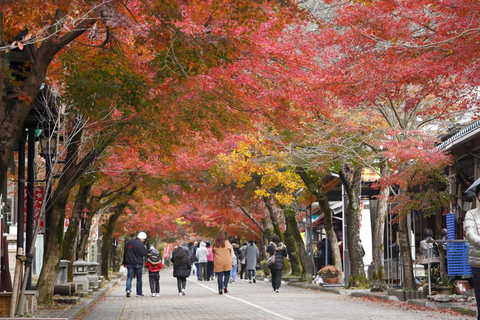 From Nagoya: Kegonji Temple, Yoro Park & Kiyosu Castle Tour